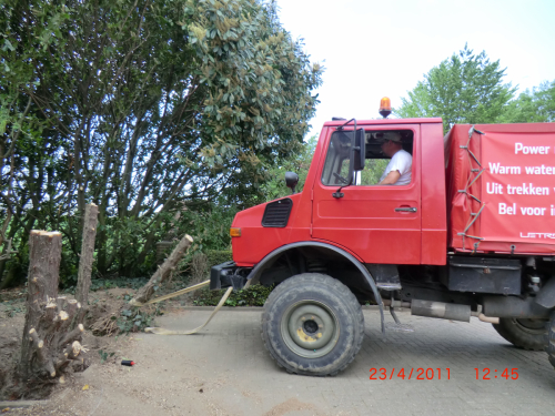 uit-trekken-van-bomen